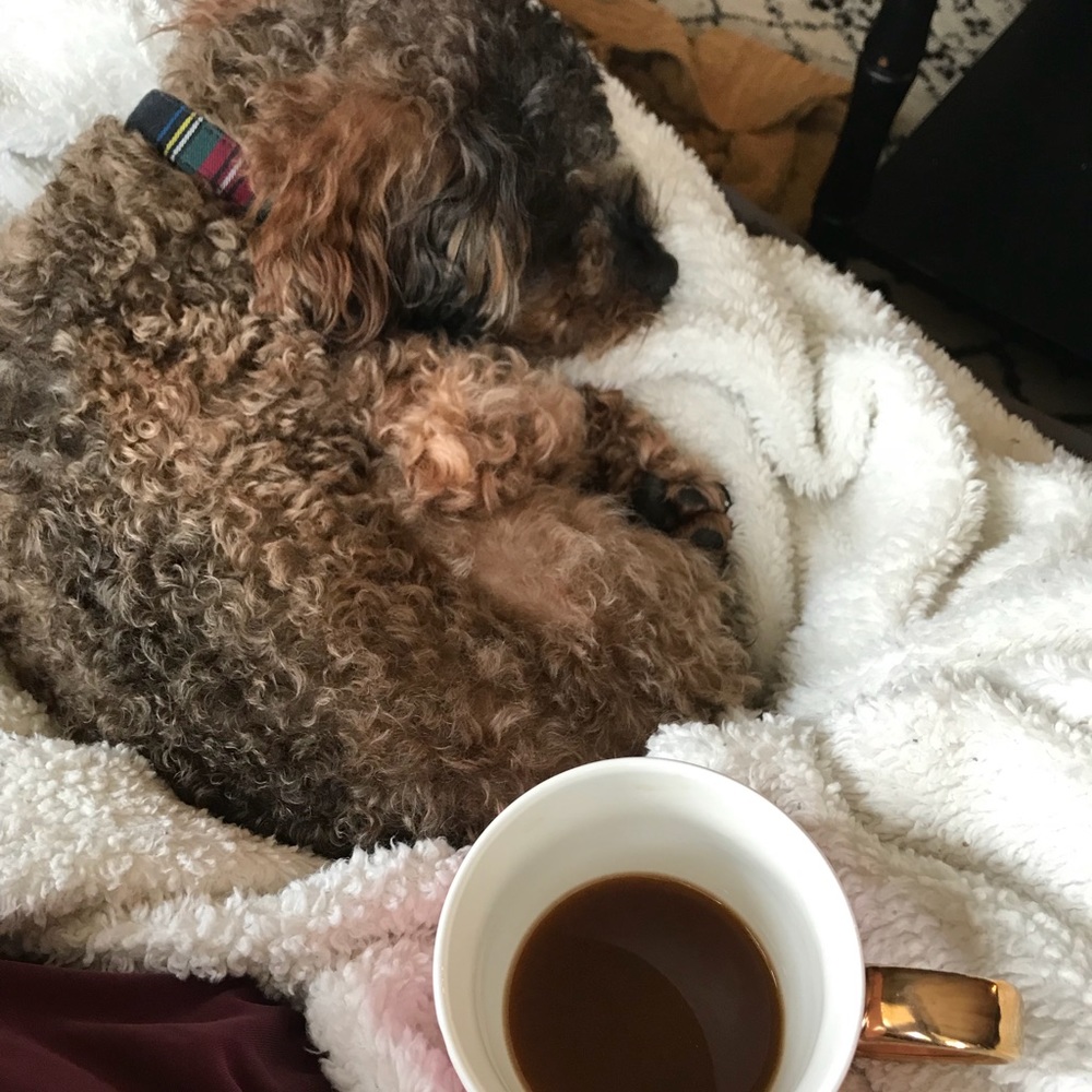 Meet your Posher, Casey